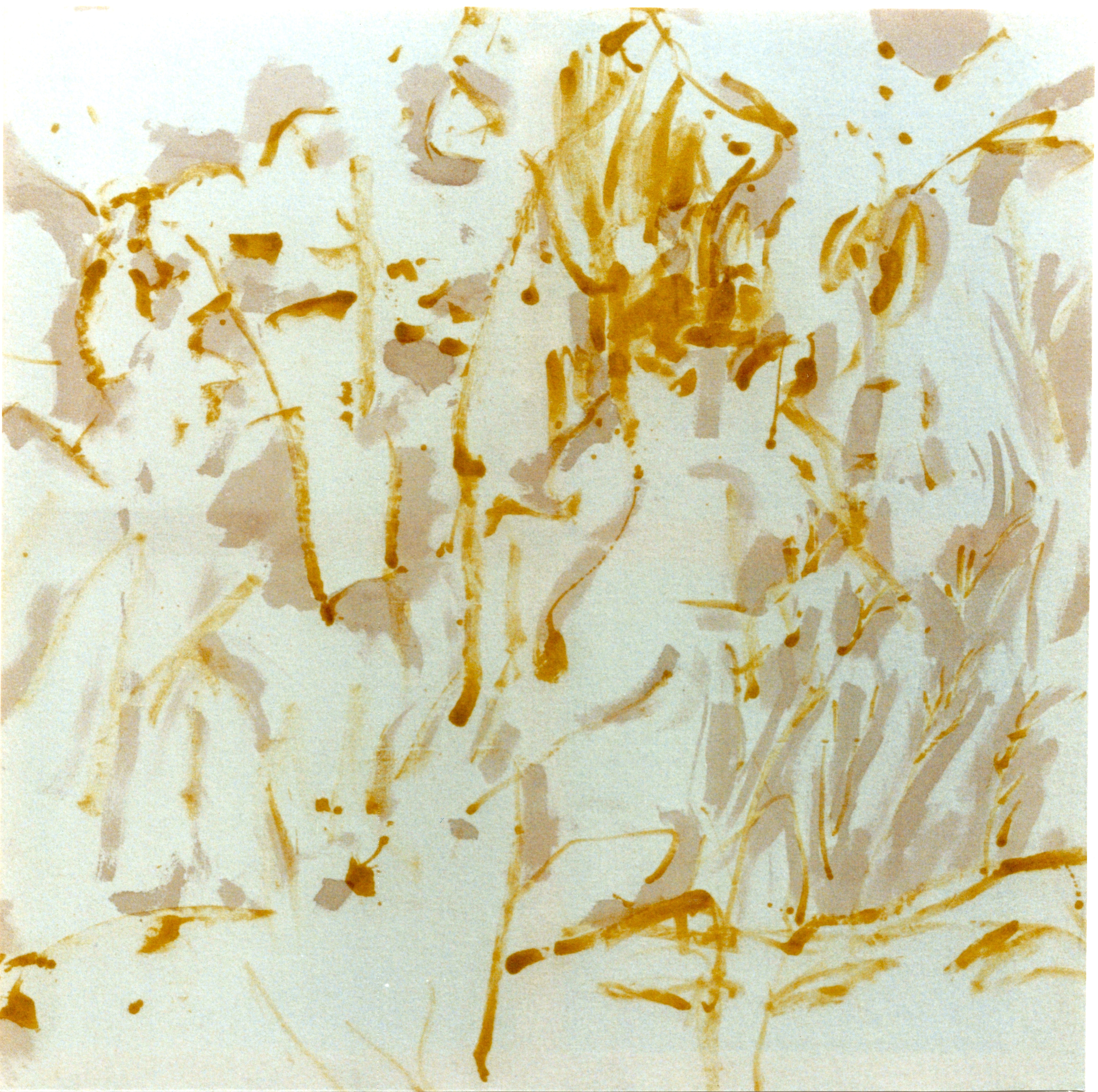 1991, Blé or Genève, huile et pigments sur toile de coton, 120 x 120 cm